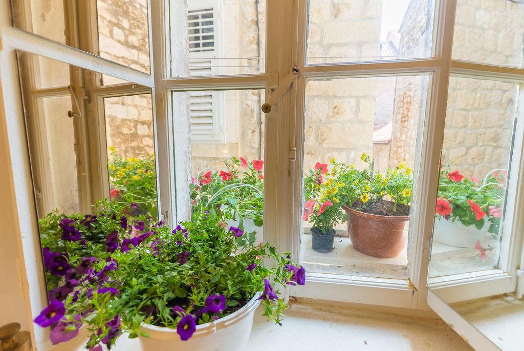Villa Mia Casa Dubrovnik Extérieur photo